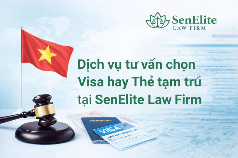 Dịch vụ tư vấn chọn Visa hay Thẻ tạm trú